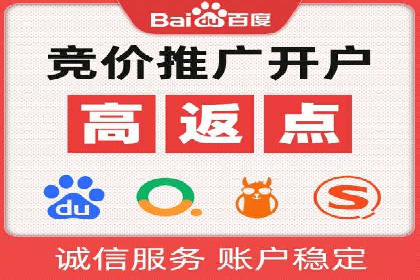 百度推广运营实战：成功案例解析